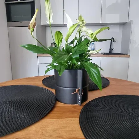 Apartment Moje *