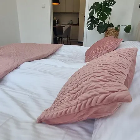 Apartment Moje Dabrowno (Ostroda)