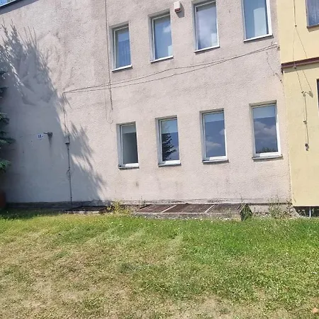 Moje