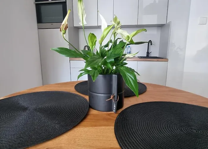 Апартаменты Moje *